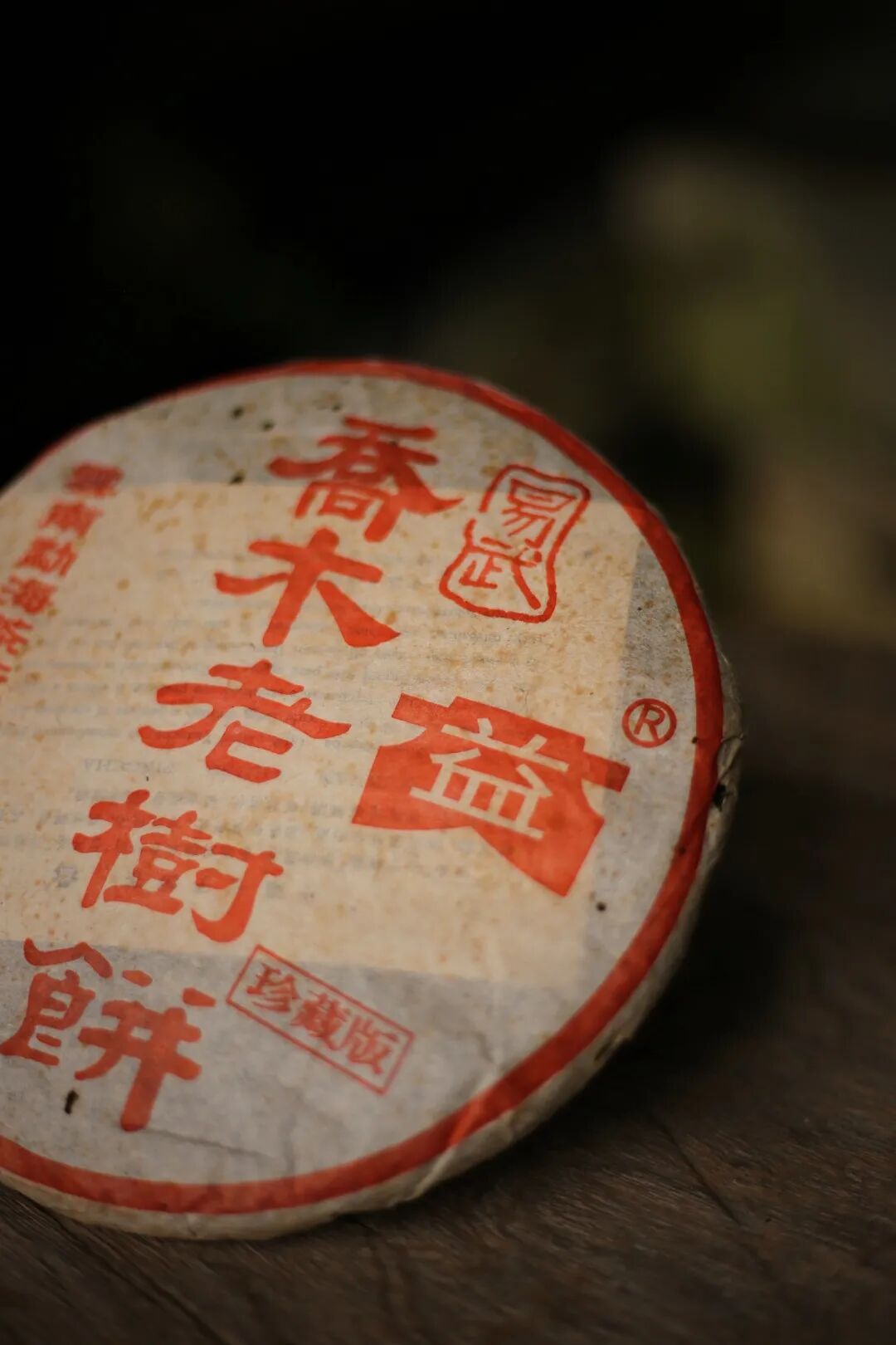 乔木老树 (1)